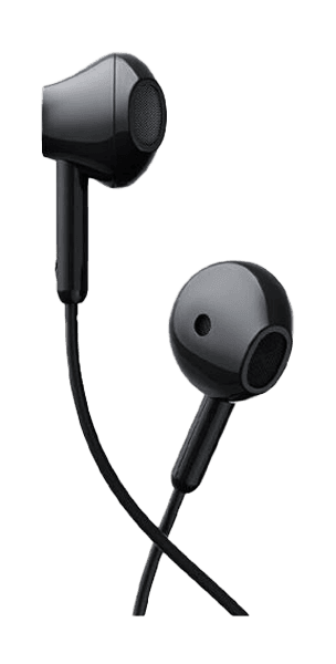 Earphones